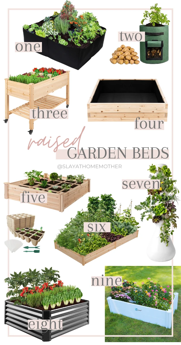 raised garden beds pin