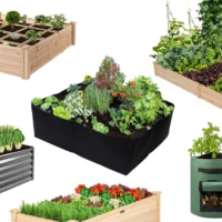 raised garden beds featured image