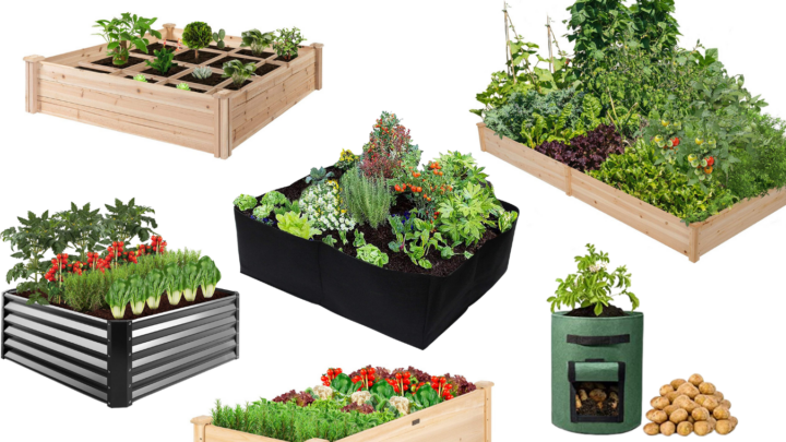 Raised Garden Beds You’ll Love This Spring