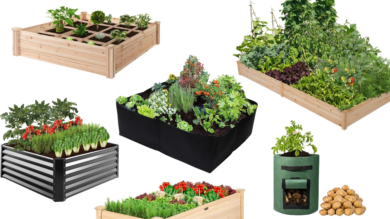 raised garden beds featured image
