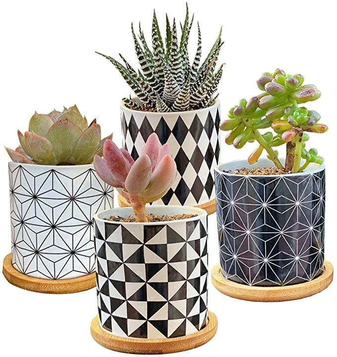 plant pot set