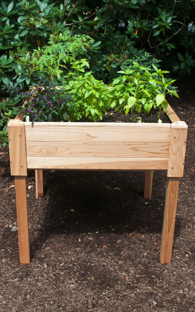 cedar garden bed