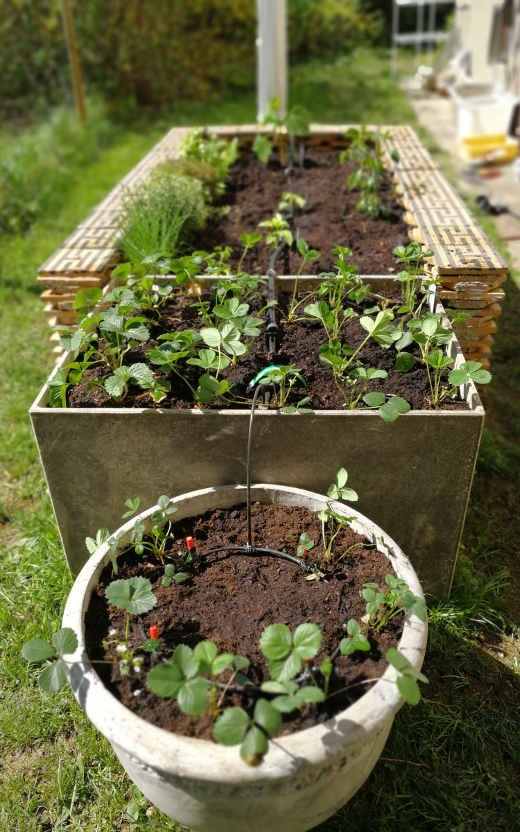 raised garden bed shapes