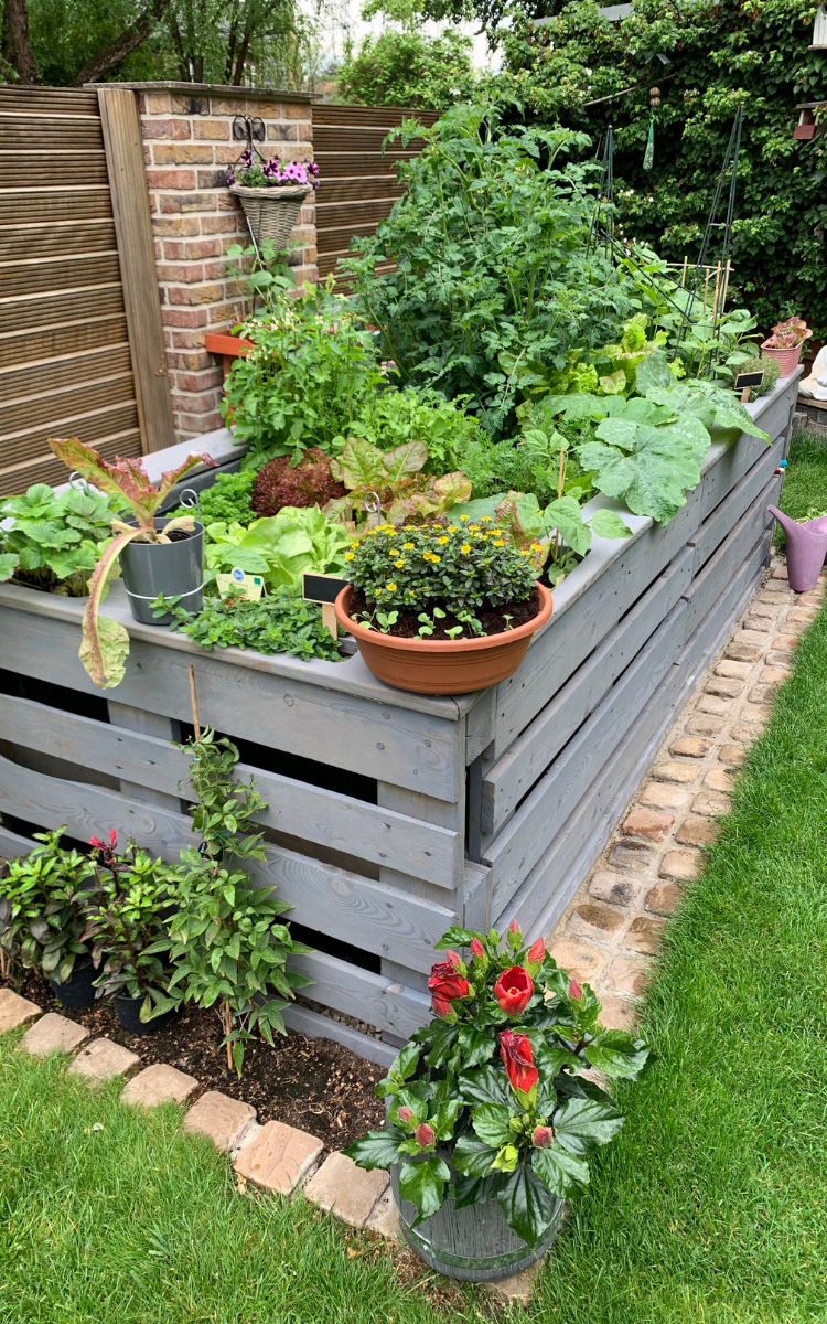 tall raised garden bed