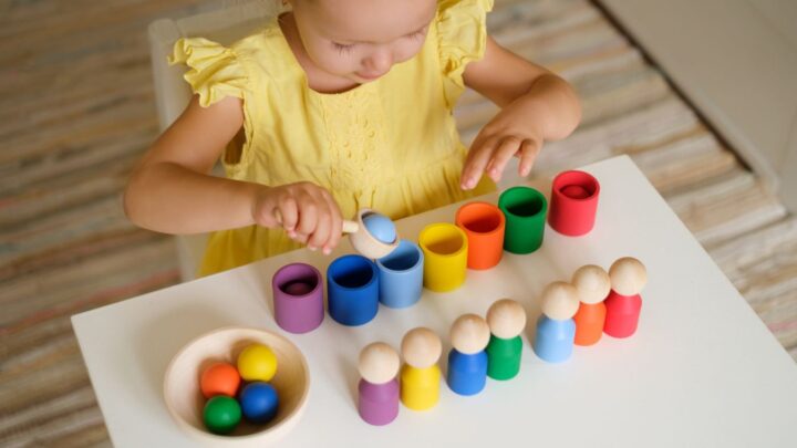 25 Color Sorting Toys