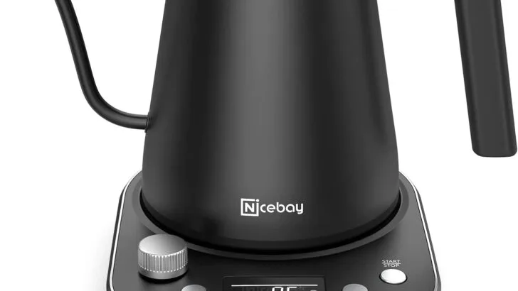 Electric Gooseneck Kettle – Now 72% Off