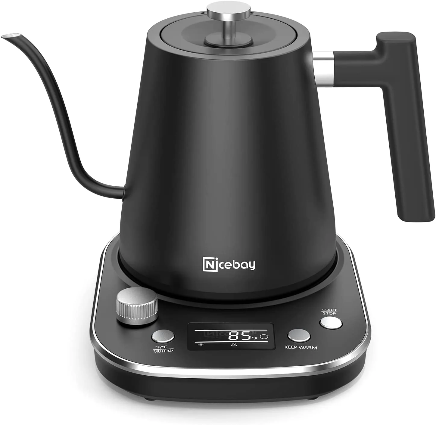 electric gooseneck kettle