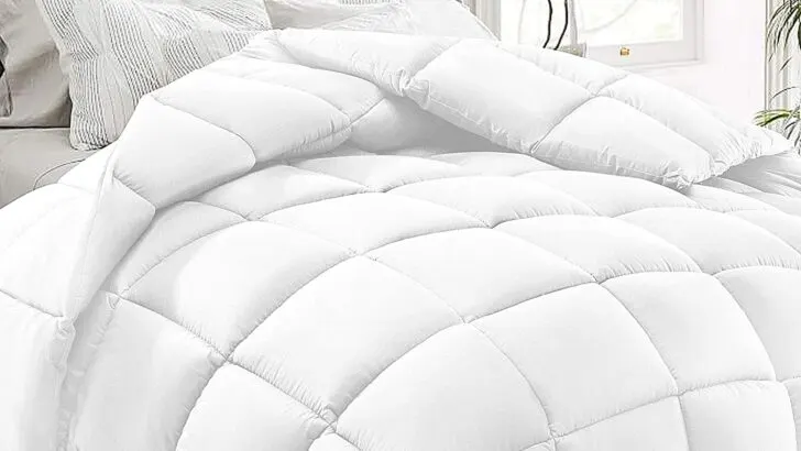 Down Alternative Comforter Sale: $27