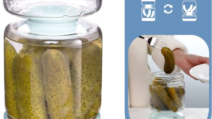 TikTok Famous Pickle Jar Now On Sale