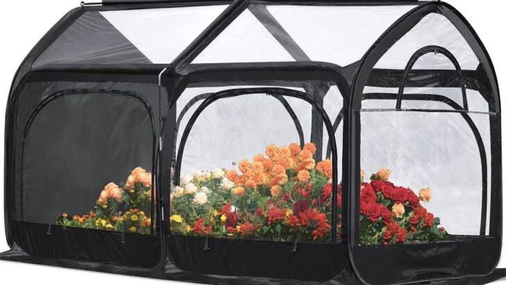 Portable Mini Greenhouse Sale