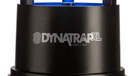 DynaTrap Bug Zapper Sale
