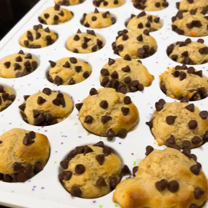 Mini Pancake Bites - Protein Packed Breakfast Idea