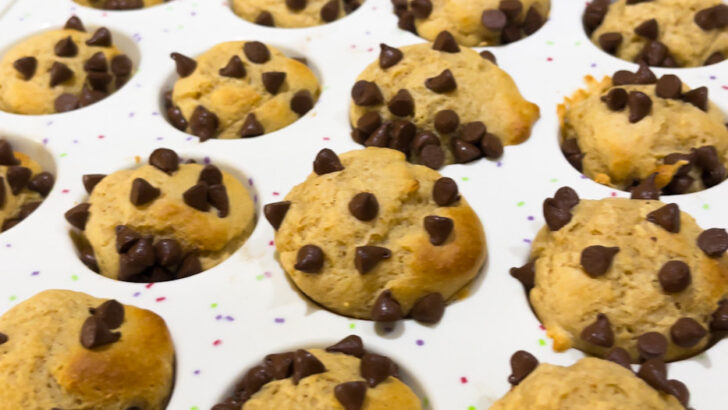 Mini Pancake Bites Breakfast Recipe