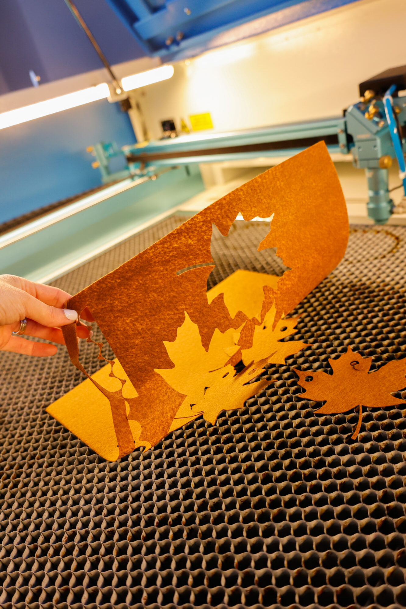 laser cut felt fall banner project lifting felt off honey comb to show cut layer